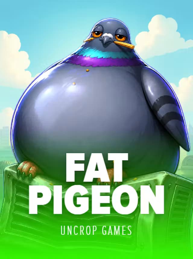 Fat Pigeon