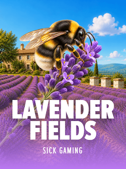 Lavender Fields